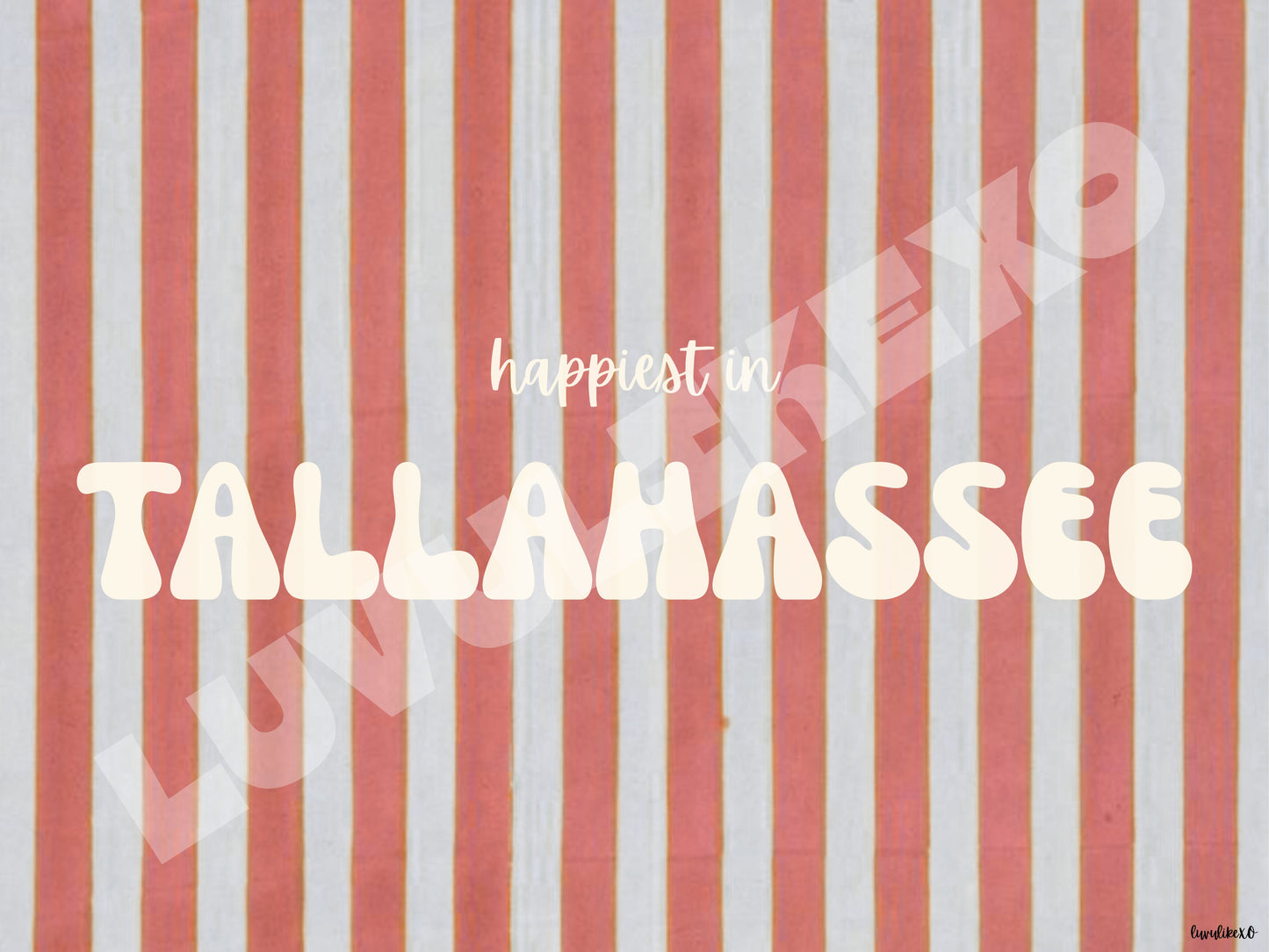 happiest in TALLAHASSEE