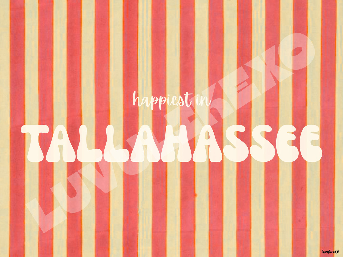 happiest in TALLAHASSEE