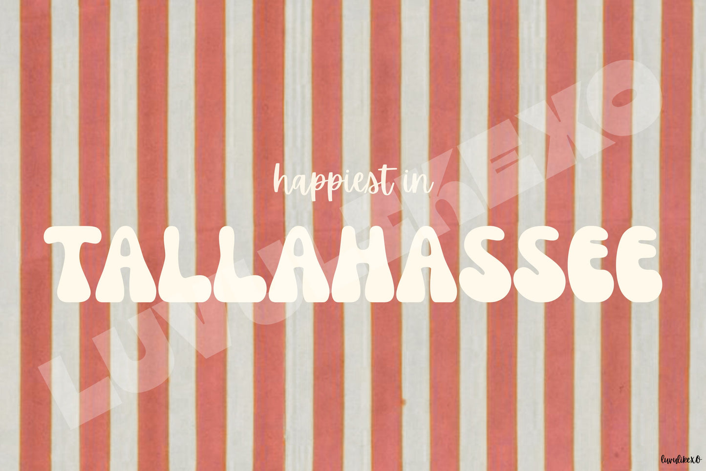 happiest in TALLAHASSEE