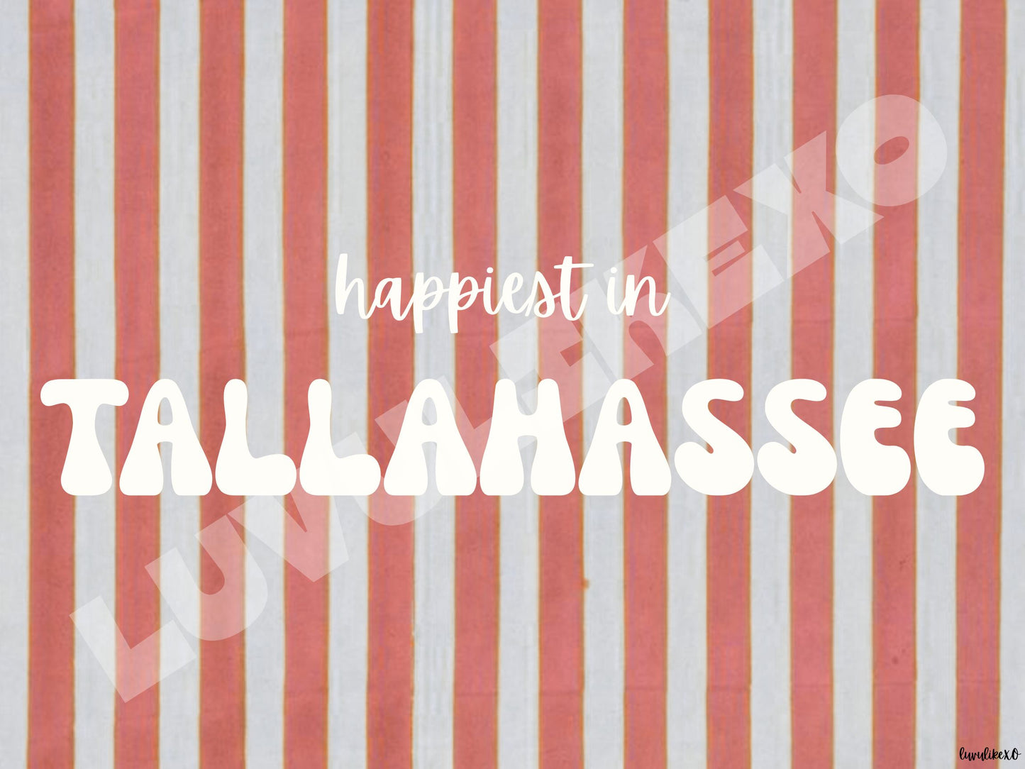 happiest in TALLAHASSEE